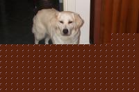 Click image for larger version

Name:	ZAIRA.JPG
Views:	118
Size:	60.4 KB
ID:	15968445
