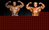 Click image for larger version

Name:	mro2005.jpg
Views:	3602
Size:	38.4 KB
ID:	15968546