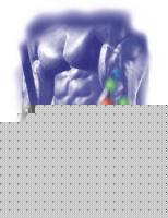 Click image for larger version

Name:	creatine_hp_product.jpg
Views:	1325
Size:	12.4 KB
ID:	15968940