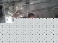 Click image for larger version

Name:	P02-01-06_22.13.jpg
Views:	209
Size:	102.8 KB
ID:	15969248