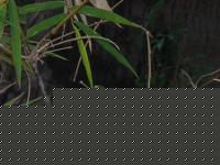 Click image for larger version

Name:	DSCN2068.jpg
Views:	97
Size:	42.8 KB
ID:	15969454