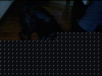 Click image for larger version

Name:	luna3.jpg
Views:	90
Size:	56.8 KB
ID:	15969587