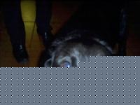 Click image for larger version

Name:	luna2.jpg
Views:	230
Size:	54.6 KB
ID:	15969588
