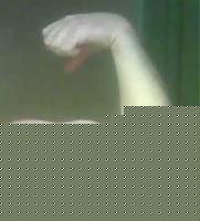 Click image for larger version

Name:	senza titolo1.jpg
Views:	575
Size:	3.9 KB
ID:	15970170