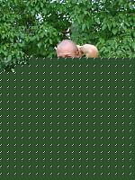 Click image for larger version

Name:	leo1.jpg
Views:	282
Size:	164.2 KB
ID:	15970297