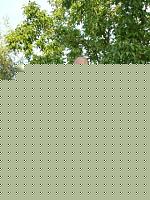Click image for larger version

Name:	leo3.jpg
Views:	257
Size:	162.3 KB
ID:	15970301