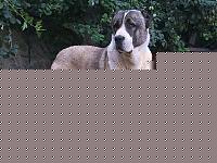 Click image for larger version

Name:	nikoss2~168.jpg
Views:	413
Size:	33.4 KB
ID:	15970527