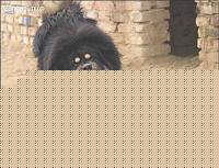Click image for larger version

Name:	20054121741514whfhee.jpg
Views:	561
Size:	59.5 KB
ID:	15970568