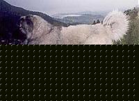 Click image for larger version

Name:	Athos2.jpg
Views:	607
Size:	19.0 KB
ID:	15970912