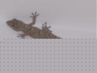 Click image for larger version

Name:	sala.jpg
Views:	201
Size:	48.1 KB
ID:	15971055