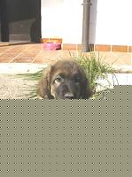 Click image for larger version

Name:	kayuk_10.jpg
Views:	706
Size:	45.9 KB
ID:	15971072