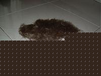 Click image for larger version

Name:	rat.JPG
Views:	141
Size:	54.9 KB
ID:	15971113