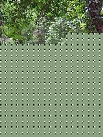 Click image for larger version

Name:	DSCN1336.jpg
Views:	74
Size:	90.5 KB
ID:	15971192