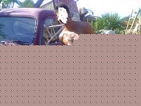 Click image for larger version

Name:	pablito.JPG
Views:	636
Size:	33.2 KB
ID:	15971198