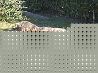 Click image for larger version

Name:	HPIM0724ra2.jpg
Views:	101
Size:	137.0 KB
ID:	15971392