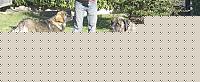 Click image for larger version

Name:	HPIM07273a.jpg
Views:	95
Size:	98.5 KB
ID:	15971393