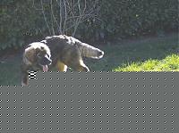 Click image for larger version

Name:	HPIM0737e3.jpg
Views:	96
Size:	127.2 KB
ID:	15971394