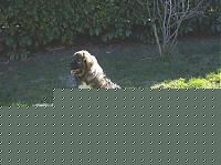 Click image for larger version

Name:	HPIM0738s22.jpg
Views:	88
Size:	138.9 KB
ID:	15971395