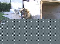 Click image for larger version

Name:	HPIM075142.jpg
Views:	158
Size:	75.5 KB
ID:	15971396