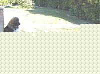 Click image for larger version

Name:	HPIM0754z33.jpg
Views:	101
Size:	109.9 KB
ID:	15971397