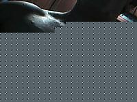 Click image for larger version

Name:	Immagine 68.jpg
Views:	162
Size:	15.3 KB
ID:	15971421