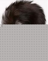 Click image for larger version

Name:	tt635_257_325.jpg
Views:	90
Size:	10.0 KB
ID:	15971423