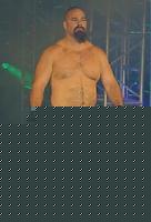 Click image for larger version

Name:	200px-Tank_Abbott.jpg
Views:	169
Size:	13.3 KB
ID:	15971460