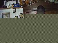 Click image for larger version

Name:	19 gennaio 2007 007.jpg
Views:	77
Size:	103.9 KB
ID:	15971510