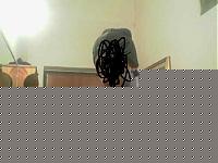 Click image for larger version

Name:	Prova di febbraio.jpg
Views:	484
Size:	18.4 KB
ID:	15971938
