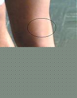 Click image for larger version

Name:	06092006(004).jpg
Views:	3152
Size:	17.0 KB
ID:	15972142