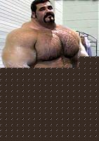 Click image for larger version

Name:	Morphs_3861.jpg
Views:	510
Size:	19.3 KB
ID:	15972143
