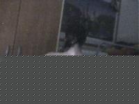Click image for larger version

Name:	Immagine 6.jpg
Views:	100
Size:	40.4 KB
ID:	15972160