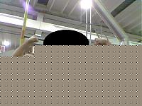 Click image for larger version

Name:	amico e io.JPG
Views:	173
Size:	44.0 KB
ID:	15972252