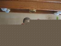 Click image for larger version

Name:	braccio.jpg
Views:	183
Size:	36.6 KB
ID:	15972355