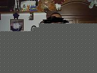 Click image for larger version

Name:	giugno 2007.jpg
Views:	206
Size:	45.6 KB
ID:	15972957