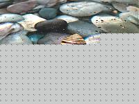 Click image for larger version

Name:	02072007068.jpg
Views:	171
Size:	47.1 KB
ID:	15973132