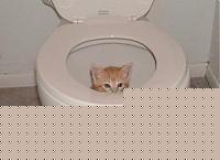 Click image for larger version

Name:	1167838856581mk7.jpg
Views:	49
Size:	13.2 KB
ID:	15973197