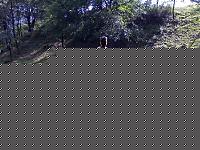 Click image for larger version

Name:	15062007614.jpg
Views:	402
Size:	122.6 KB
ID:	15973634
