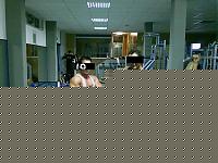 Click image for larger version

Name:	io mirco.JPG
Views:	635
Size:	87.8 KB
ID:	15973683