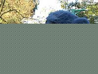 Click image for larger version

Name:	balu.jpg
Views:	85
Size:	100.2 KB
ID:	15974198
