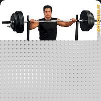 Click image for larger version

Name:	powerline-squat-rack_1.jpg
Views:	89
Size:	52.5 KB
ID:	15974238