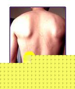 Click image for larger version

Name:	Immagine.JPG
Views:	307
Size:	7.1 KB
ID:	15974571