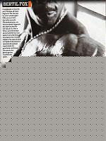 Click image for larger version

Name:	Bertil Fox.jpg
Views:	244
Size:	62.9 KB
ID:	15975079