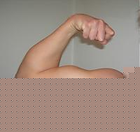 Click image for larger version

Name:	bicipite.JPG
Views:	72
Size:	31.2 KB
ID:	15975188