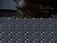 Click image for larger version

Name:	P0520_185343.jpg
Views:	265
Size:	117.4 KB
ID:	15975551