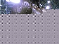 Click image for larger version

Name:	P0520_185459.jpg
Views:	287
Size:	139.6 KB
ID:	15975552