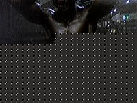 Click image for larger version

Name:	P0520_201626.jpg
Views:	349
Size:	129.6 KB
ID:	15975558