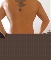 Click image for larger version

Name:	dorso1.jpg
Views:	97
Size:	42.6 KB
ID:	15975607