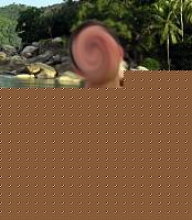 Click image for larger version

Name:	1.jpg
Views:	191
Size:	48.8 KB
ID:	15975631