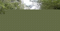 Click image for larger version

Name:	giar 1.JPG
Views:	131
Size:	149.6 KB
ID:	15975707